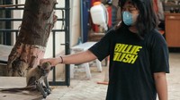 Ada 2 ekor monyet serta satu ekor ikan arwana juga di Kelurahan Karet.  (Andhika Prasetia/detikcom)