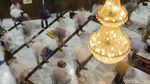 Khusyuk Tarawih di Masjid Cut Meutia