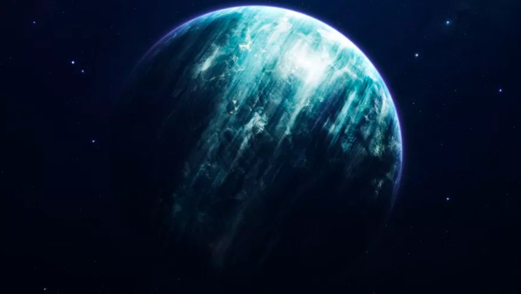 Neptunus Neptunus