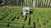 Objek wisata ini menyuguhkan permainanan taman labirin dari tanaman alami dengan keindahan pemandangan alam.