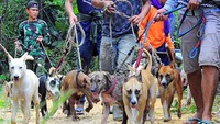 Kegiatan mingguan ini diinisiasi oleh Forum Olahraga Berburu Babi (FORBI) setempat dan diikuti puluhan peserta. 