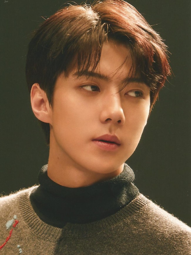Para spesialis bedah plastik memuji wajah berbentuk V Sehun EXO yang alami. Tulang hidungnya yang meruncing juga disebut sebagai salah satu bentuk paling diminati. Foto: dok. SM Entertainment