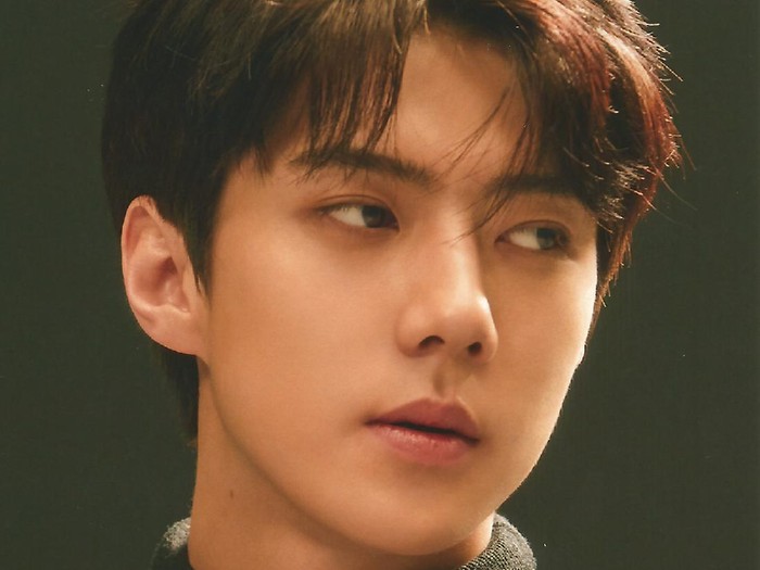 10 Hal Menarik Sehun EXO, Bintang Now We Are Breaking Up yang Ultah ke-27