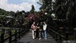 Rileks Sejenak Nakes Wisma Atlet Melepas Penat di Dufan