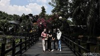 Sebelumnya, Menteri Pariwisata dan Ekonomi Kreatif (Menparekraf) Sandiaga Uno mengajak 50 tenaga kesehatan (nakes) berwisata singkat di Taman Impian Jaya Ancol.  