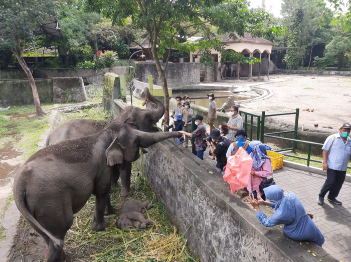 Suasana di Gembira Loka Zoo