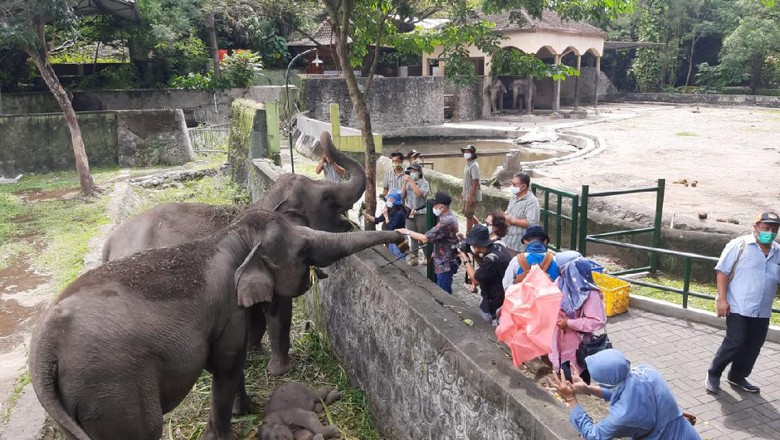 Suasana di Gembira Loka Zoo