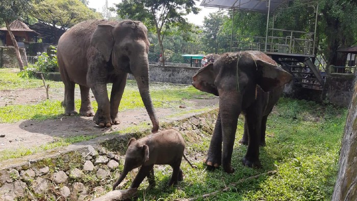 Suasana di Gembira Loka Zoo