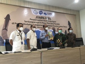 Tim FKH Unair Ungkap Hasil Nekropsi 52 Paus Pilot Terdampar di Jatim