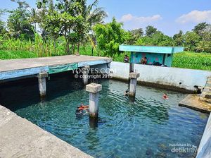 Pemandian Murah di Sleman, Dulu untuk Mandi Bangsawan Keraton