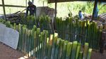 Melihat Pembuatan Lemang Bambu, Kuliner Populer Kala Ramadhan