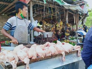 Bunda yang Sabar ya.... Harga Ayam Tembus Rp 40.000/Ekor Nih Pasca Lebaran