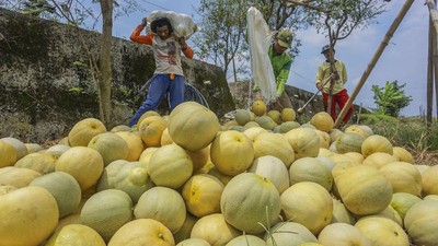 Jadi Bahan Takjil, Permintaan Buah Ini Meningkat di Bulan Puasa