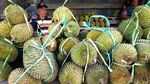 Jadi Bahan Takjil, Permintaan Buah Ini Meningkat di Bulan Puasa