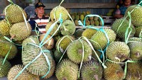 Seorang pedangang durian menunggu pembeli di Tarailu Kecamatan Sampaga Mamuju, Sulawesi Barat, Senin (13/4/2021). Memasuki bulan suci Ramadhan permintaan durian meningkat dan dijual dengan harga Rp 30 ribu sampai Rp 50 ribu per buah. ANTARA FOTO/Akbar Tado  