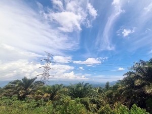 Bukit Algoritma Silicon Valley RI Gimmick Doang?