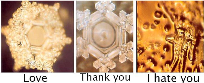 Dr Masaru Emoto terkenal salah satunya karena eksperimen air yang menyebut kesadaran manusia dapat mempengaruhi struktur molekul air. Klaimnya ini menjadi viral dan kemudian menarik perhatian banyak orang untuk melakukan penelitian serupa.Profil Dr Masaru Emoto, ia adalah seorang pseudo-scientist. Ia merupakan seorang pria asal Negeri Sakura, Jepang.Dr Emoto lahir 22 Juli 1943 di Yokohama, Jepang, dan lulusan dari Yokohama Municipal University. Ia bekerja di Nagoya Office (Kantor Pusat Jepang) di Yomiuri Shimbun, kemudian mendirikan perusahaan International Health Medical pada tahun 1986.