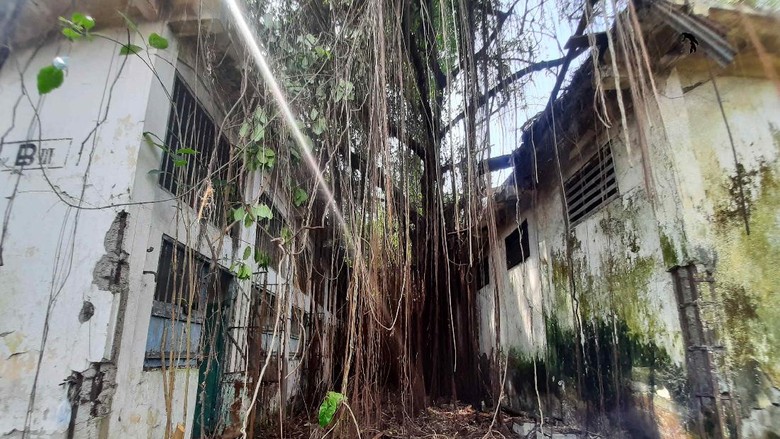 Penampakan penjara kalisosok surabaya saat dibersihkan DKRTH setelah mangkrak bertahun-tahun Penampakan penjara kalisosok surabaya saat dibersihkan DKRTH setelah mangkrak bertahun-tahun