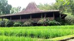 Ini 6 Destinasi Hijau Untukmu di Sekitaran Semarang