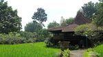 Ini 6 Destinasi Hijau Untukmu di Sekitaran Semarang