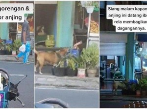 Inspiratif! 5 Orang Ini Rutin Sedekah Makanan ke Anjing dan Burung