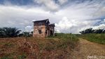 Terkuak! Lokasi Bukit Algoritma, Proyek Silicon Valley-nya RI