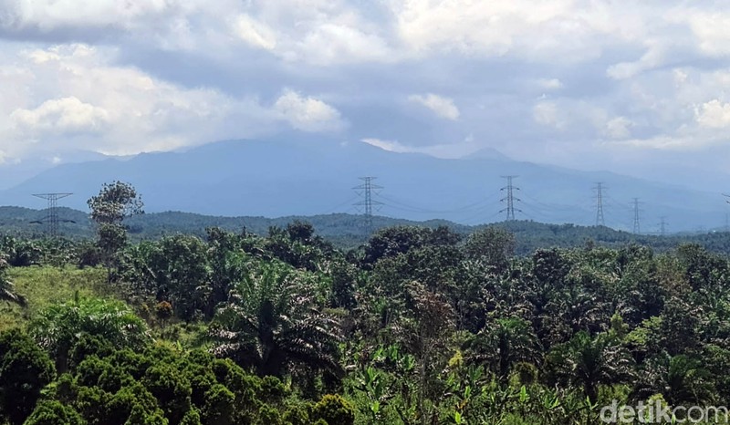 Bukit Algoritma disebut bakal menjadi Silicon Valley-nya Indonesia. Area ini ada di kawasan ekonomi khusus untuk pengembangan teknologi dan industri 4.0.