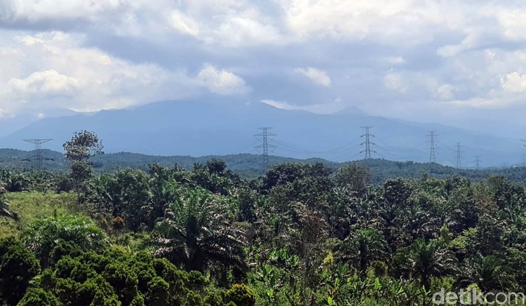 Terkuak! Lokasi Bukit Algoritma, Proyek Silicon Valley-nya RI Bukit Algoritma disebut bakal menjadi Silicon Valley-nya Indonesia. Area ini ada di kawasan ekonomi khusus untuk pengembangan teknologi dan industri 4.0.