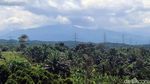 Terkuak! Lokasi Bukit Algoritma, Proyek Silicon Valley-nya RI