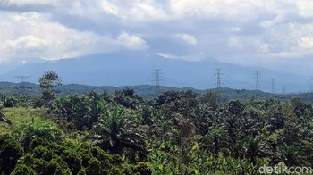 Bagaiman menurut kamu dengan Bukit Algoritma ini? Foto: Syahdan Alamsyah/Detikcom