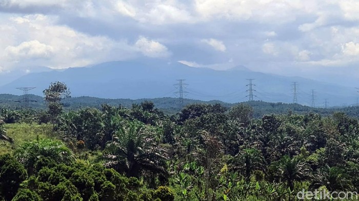 Bukit Algoritma disebut bakal menjadi Silicon Valley-nya Indonesia. Area ini ada di kawasan ekonomi khusus untuk pengembangan teknologi dan industri 4.0.