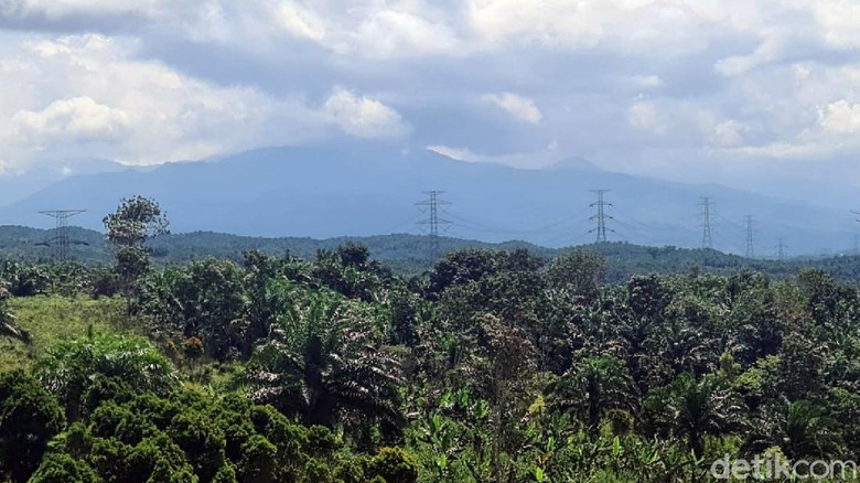 Terkuak! Lokasi Bukit Algoritma, Proyek Silicon Valley-nya RI Bukit Algoritma disebut bakal menjadi Silicon Valley-nya Indonesia. Area ini ada di kawasan ekonomi khusus untuk pengembangan teknologi dan industri 4.0.