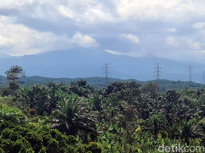 Bukit Algoritma disebut bakal menjadi Silicon Valley-nya Indonesia. Area ini ada di kawasan ekonomi khusus untuk pengembangan teknologi dan industri 4.0.