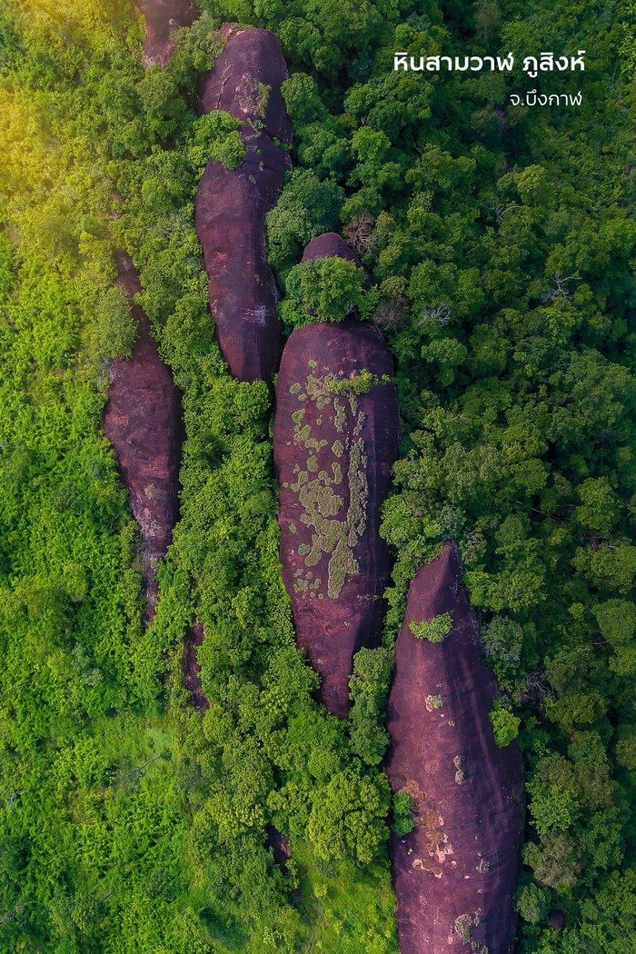 Three Whale Rock di Thailand