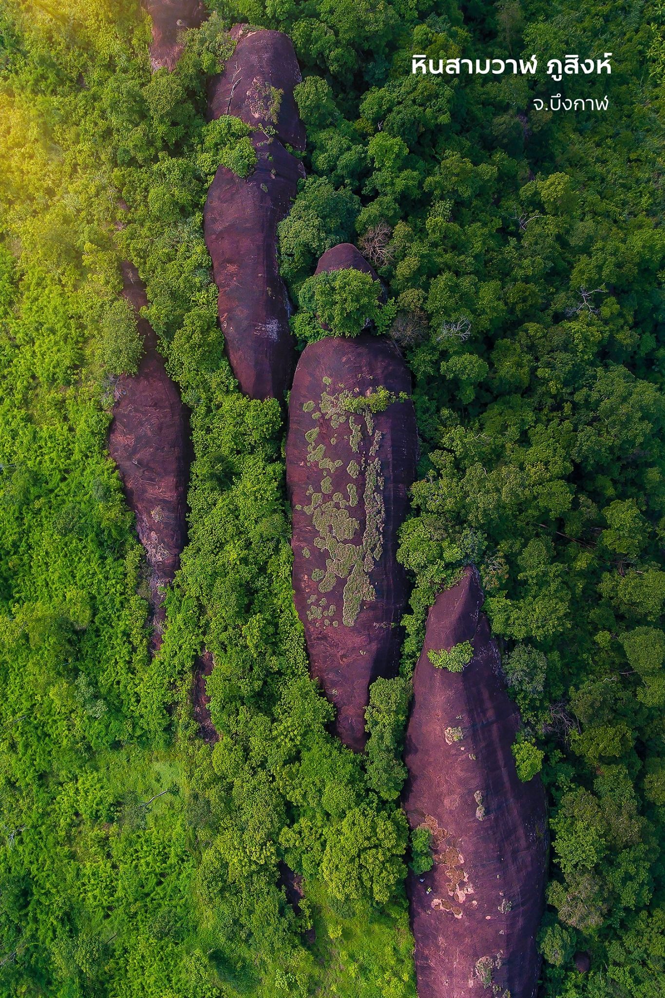 Three Whale Rock di Thailand
