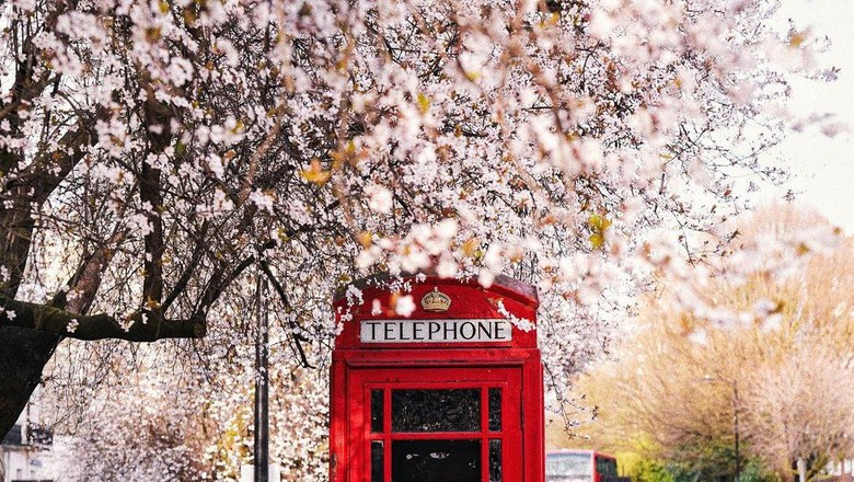 Tujuan Musim Semi yang Asyik di Inggris Tujuan Musim Semi yang Asyik di Inggris