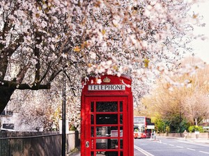 5 Kegiatan Seru di Inggris Saat Musim Semi