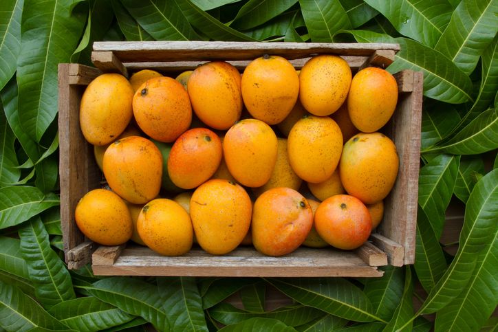 Konsumsi 7 Buah Ini Untuk Cegah Dehidrasi Saat Puasa