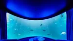 Foto Hotel Bawah Laut di Maldives, Bisa Lihat Hiu