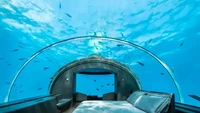 Hotel tersebut sengaja dibangun untuk tamu yang menyukai kehidupan bawah laut. Sebagaimana diketahui, banyak wisatawan datang ke Maldives untuk menikmati keindahan terumbu karang dan melihat ikan-ikan yang bebas berenang di air yang jernih. Foto: Conrad Hotels & Resorts