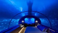 Hotel bawah laut yang disebut Muraka ini merupakan salah satu penginapan milik Conrad Maldives Rangali Island. Hotel ini merupakan hotel bawah laut pertama di dunia dan terbuka untuk tamu umum. Foto: Conrad Hotels & Resorts