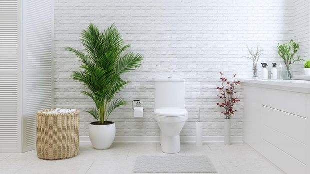 Ilustrasi Kamar Mandi Minimalis White Toilet Bowl In A Bathroom