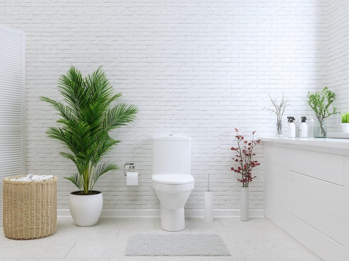 White Toilet Bowl In A Bathroom