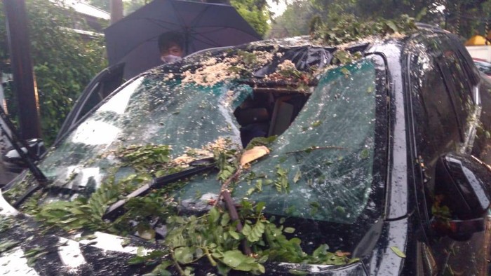 Kaca mobil pecah akibat tertimpa pohon tumbang di Jalan Hang Tuah, Jaksel.