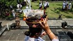 Khusyuknya Umat Hindu Saat Berdoa di Perayaan Galungan