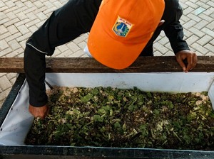 Sampah Organik Adalah: Jenis, Contoh, Manfaat dan Cara Mengolah