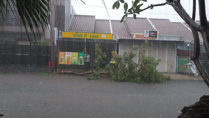 Pohon tumbang di Bekasi (Dok Marwan Pasangmata)