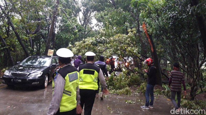Pohon tumbang di Tangsel.