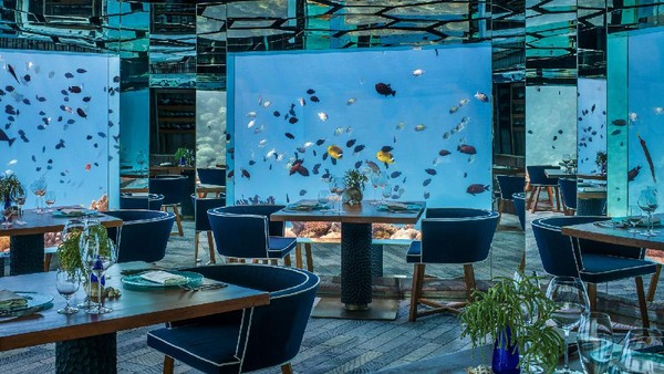 Buat wisatawan yang mau menyantap makanan sambil melihat keindahan bawah laut akan turun ke restoran SEA yang terletak 6 meter di bawah air. (Anantara Kihavah Villas) Buat wisatawan yang mau menyantap makanan sambil melihat keindahan bawah laut akan turun ke restoran SEA yang terletak 6 meter di bawah air. (Anantara Kihavah Villas)
