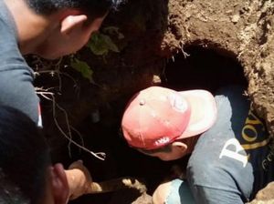 Lubang Mirip Gua Diduga Makam Zaman Prasejarah Bondowoso Dikira Sarang Ular